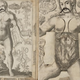 Illustration for article titled Columbia Just Digitized a Bestselling Anatomy Flipbook From the 1610s